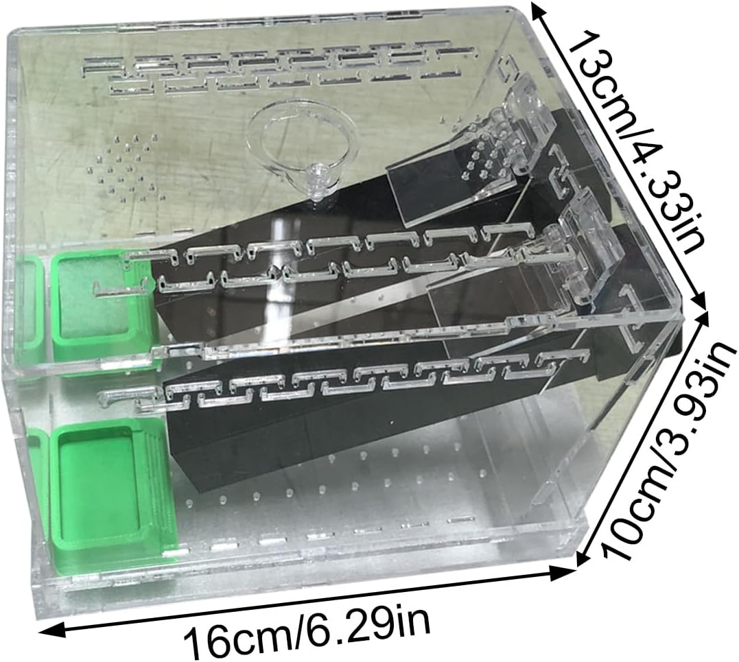 Ventilated Crickets Enclosure with Hide Tube Feeding Basins and Observation Window Crickets Hiding Tube Habitat