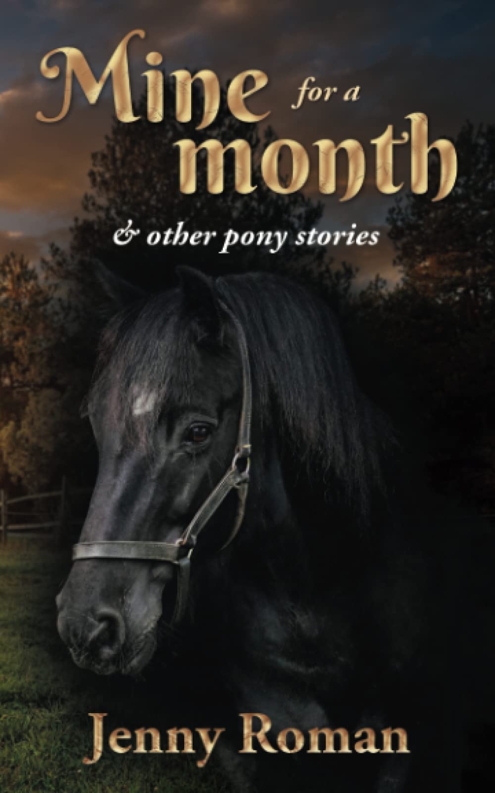 Mine for a Month: & other pony stories