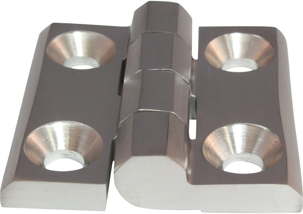 AISI 316 Screw-On Hinge Door Hinges Stainless Steel 60 x 60 mm 270°