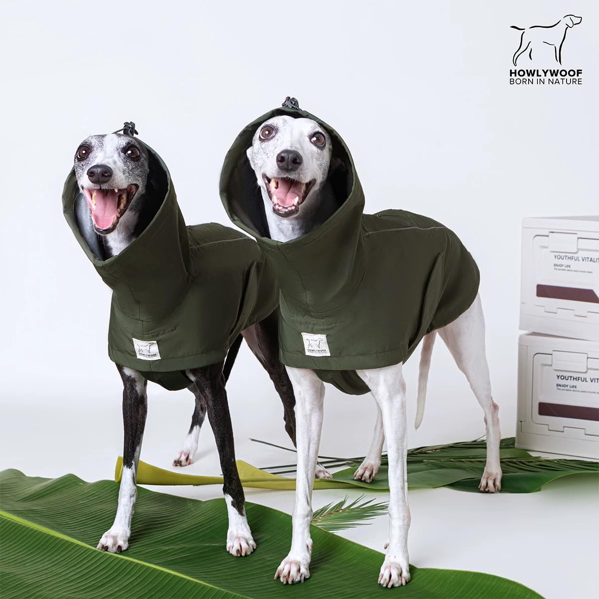 Impermeable para perro, impermeable con capucha para perros pequeños, medianos y grandes, chaqueta impermeable ajustable para perros (08 (pecho 26-30 pulgadas, espalda 22.5-25.5 pulgadas)