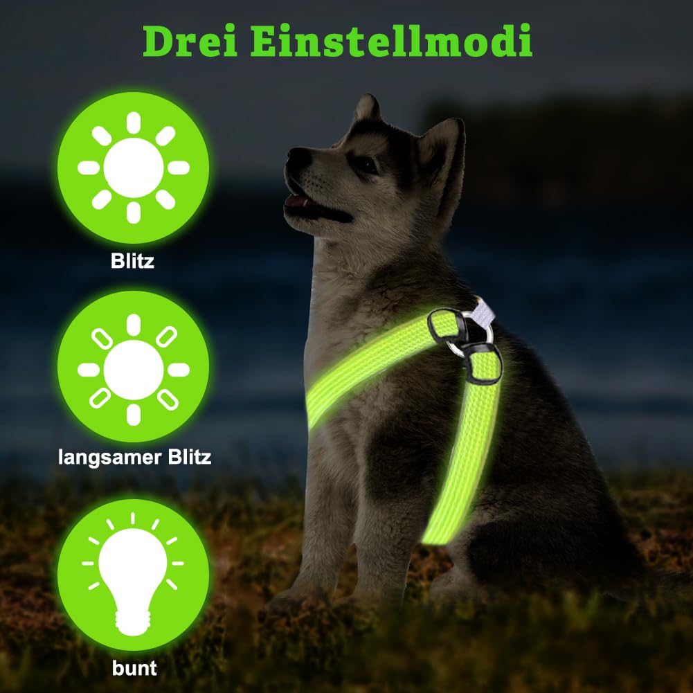 BiPawTi Led-borstharnas voor honden, middelgroot, oplaadbaar lichtharnas, hondenvest met 3 lichtmodi, licht op in het donker, praktische accessoires voor kamperen met hond, lichtgevend hondenharnas