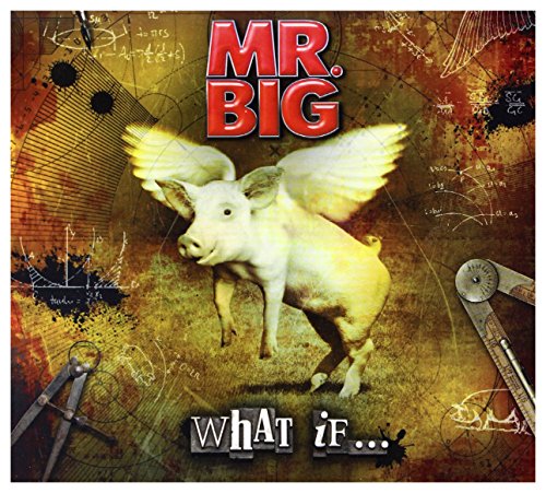 What If... [CD/DVD Combo]