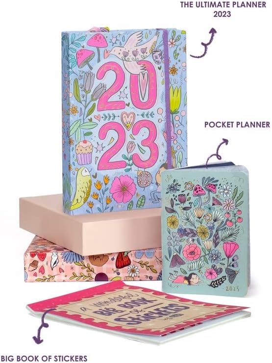 The Ultimate Planner for 2020 + Free Pocket Planner & Planner Box by Alicia Souza, Goals & to-Do Lists, Cute Illustrations, 8.7 X 6.7 in