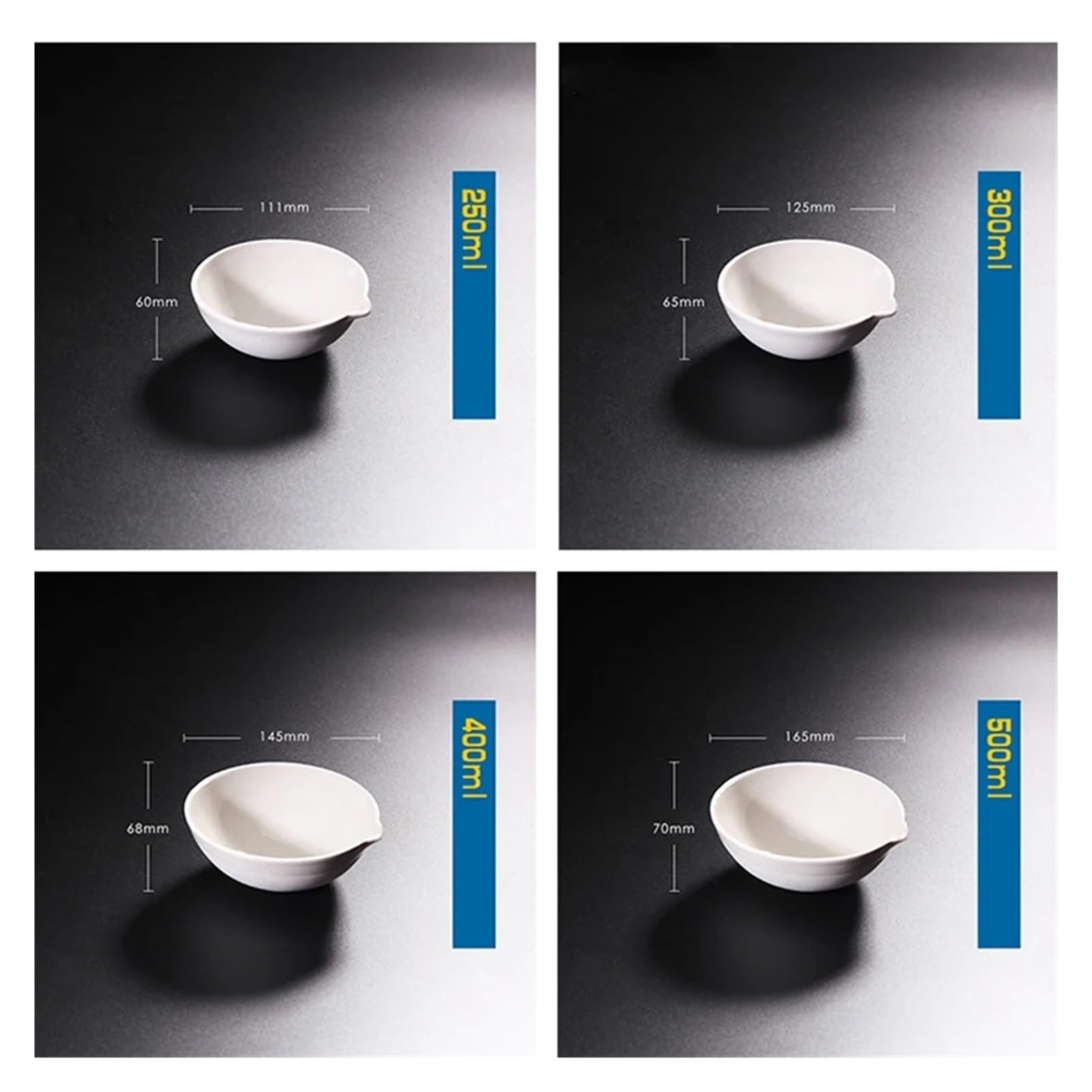 Lot de 10 bols d'évaporation en céramique pour laboratoire (100 ml)