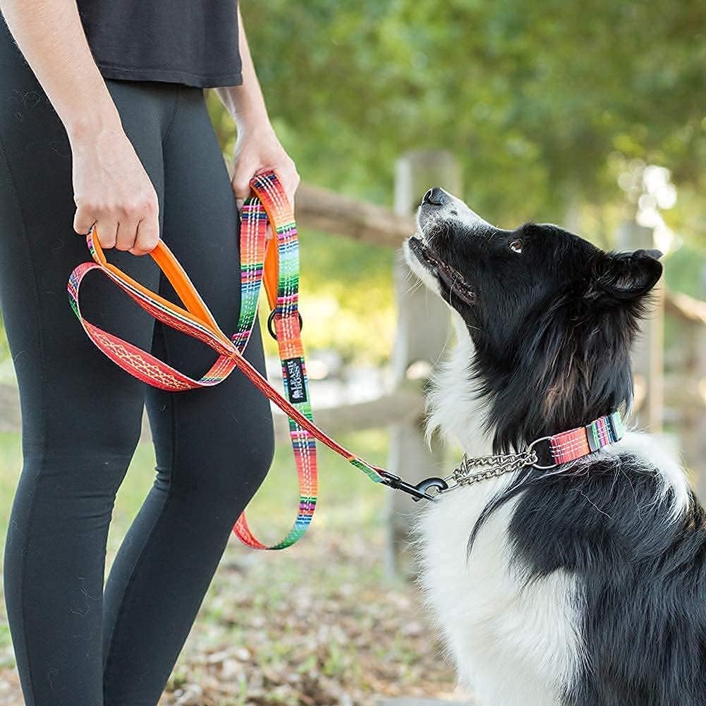 Leash Boss 2-Handle Leash and Bungee Leash Extension - Double-Handle 6Ft Reflective Dog Leash with Padded Handles (Blanket) and 18” Shock Absorbing Leash Extender (Blanket)