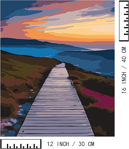 Miniatura 207 de Baisite 1112 Pintura por números, para adulto, principiante, niño, 12 pulgadas de ancho x 16 pulgadas de largo, 2 lienzos, 8 pinceles de madera