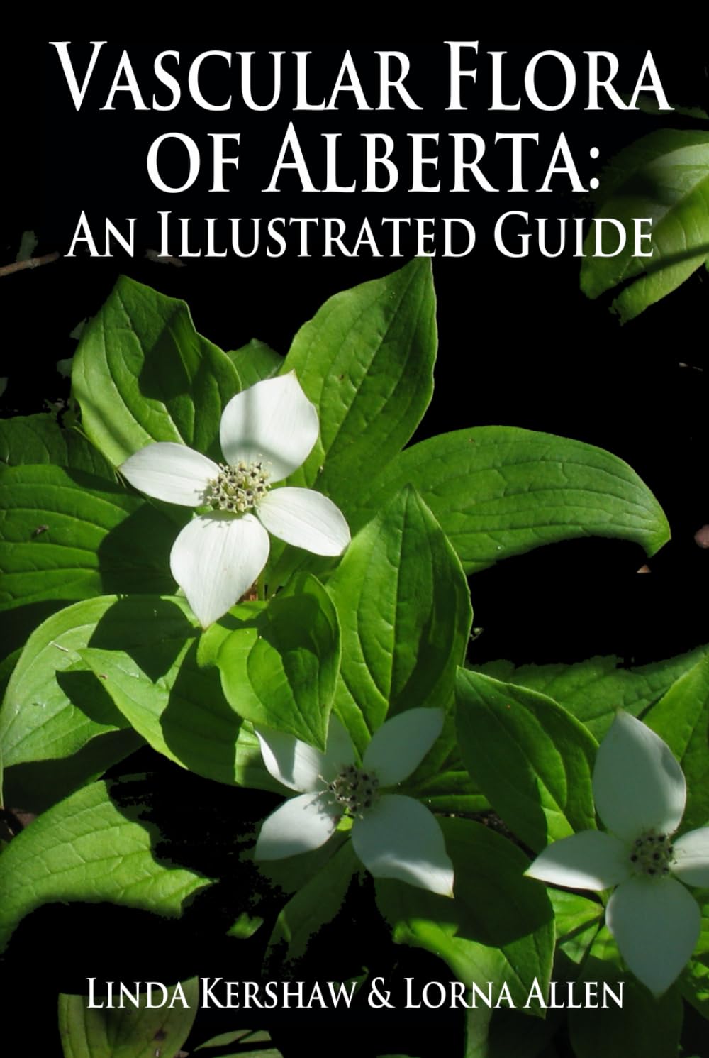 Vascular Flora of Alberta: An Illustrated Guide