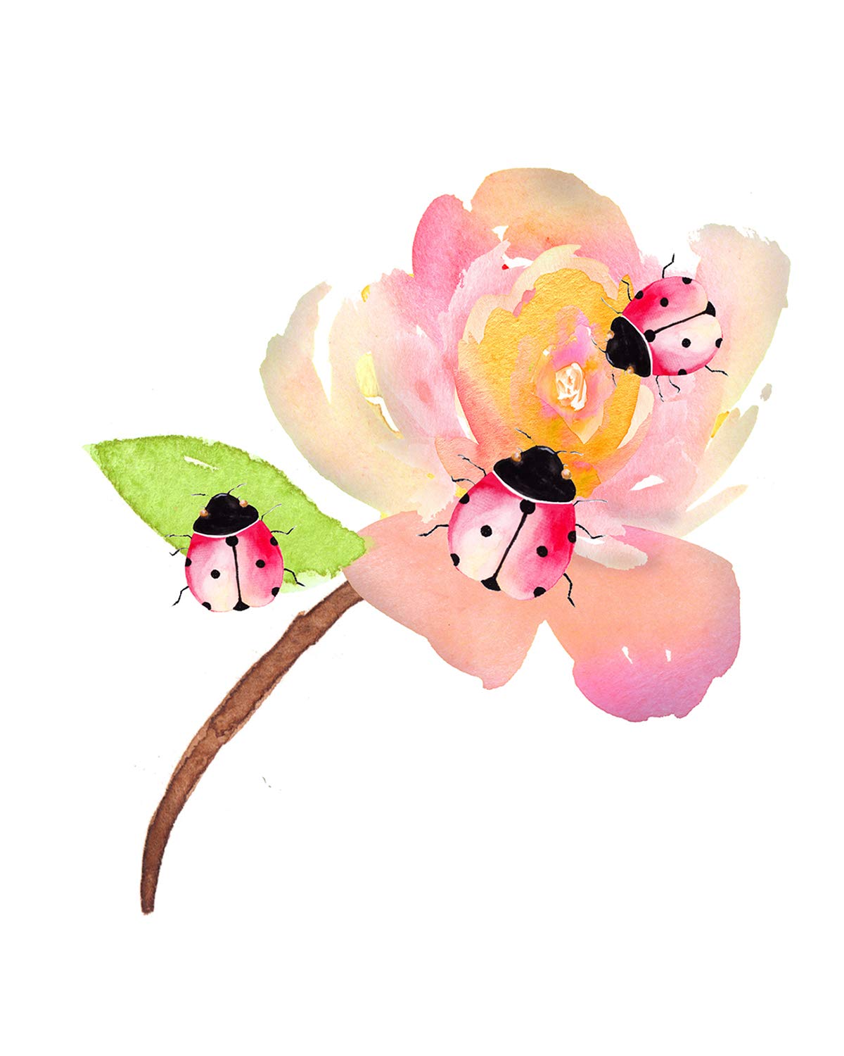 Govivo Lady Bug - Wall Decor Art Print with a white background - 8x10 unframed insect-themed print for entomology enthusiasts - great gift for relatives and friends