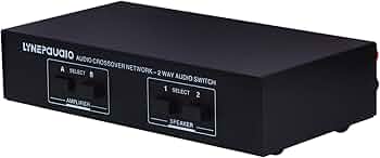 Amazon.co.jp: Hydra Ace 【新登場】2-IN-2-OUT アンプ スピーカー