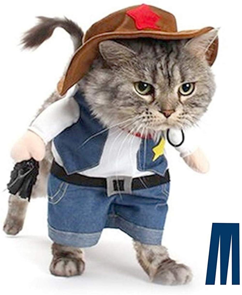 Denim fête de Noël pour les vêtements d'événement spécial et shooting photo chien