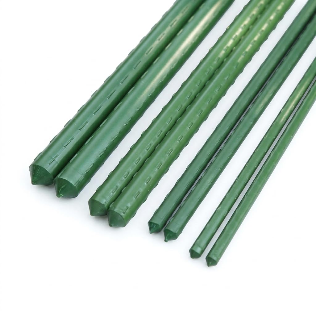 Homyl Vegetable Garden Cane Climbing Plant Stake Tomato Pea Plant Stake Sturdy Construction Suitable for Home Garden Yard Plant Maintenance, 11mm Diameter, 180cm Length (10 pcs)