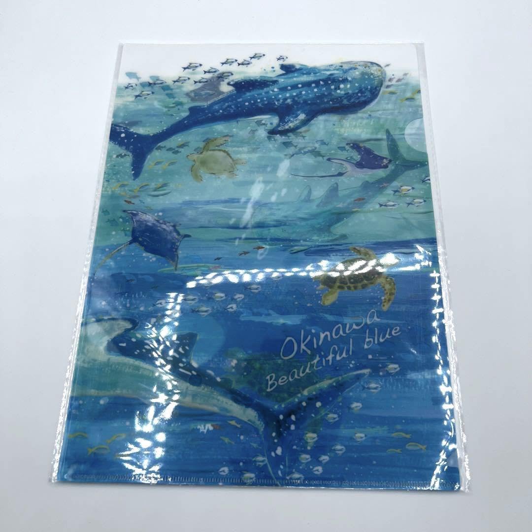 Amazon.co.jp: 美ら海水族館 クリアファイル 沖縄 ポストカード