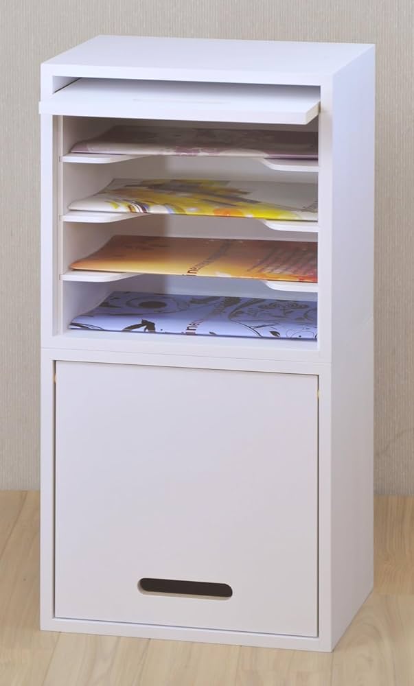 Amazon.co.jp: 同人誌ラックR B5サイズ 扉付きタイプ 縦 横 収納