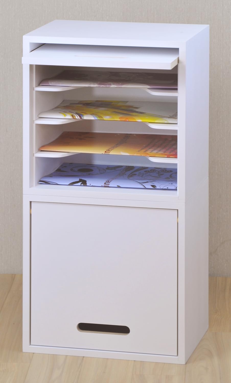 Amazon.co.jp: 同人誌ラックR B5サイズ 扉付きタイプ 縦 横 収納 タテ