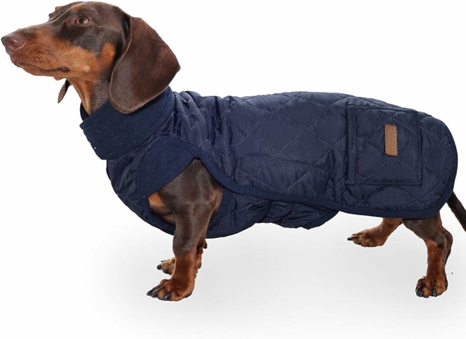 Dog Winter Coat Dachshund, Waterproof Dog Jacket with Harness Hole, Windproof Dogs Vest with Pocket And Elastic Band, Pet Outfit Ideal for Walking,Camping (Dark Blue M)