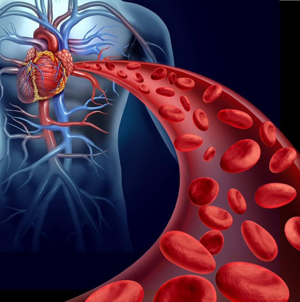 Nattokinase NSK-SD 2,000 Units 60 Capsules - The Cardiovascular Superfood of Japan - Made in The USA with Japanese NSK-SD Nattokinase. The Original and Most Researched Nattokinase.