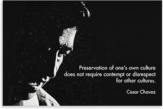 AAHARYA Cesar Chavez Quotes Inspirational Motivational Posters Canvas Painting Wall Art Poster for Bedroom Living Room Decor 12x18inch30x45cm Unframe-style