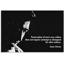 AAHARYA Cesar Chavez Quotes Inspirational Motivational Posters Canvas Painting Wall Art Poster for Bedroom Living Room Decor 08x12inch20x30cm Unframe-style