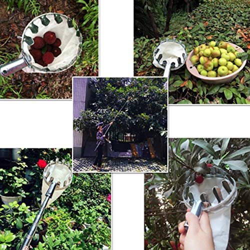 Longspeed Metal Fruit Picker High Altitude Fruit Picking Device Portable Fruit Picking Device Agricultural Garden Hardware Tools - Silver