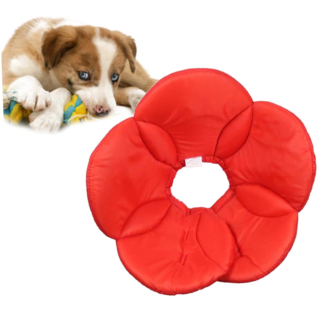SUPVOX 3 Pz collare per animali domestici con fiori di spugna girocollo collare regolabile per animali domestici accessori cane accessori per cane per i in poliestere rosso