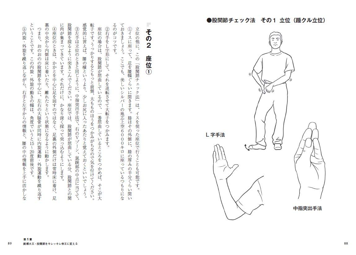  Safari 3.1 でパフォーマンスが向上 (「より快適」)