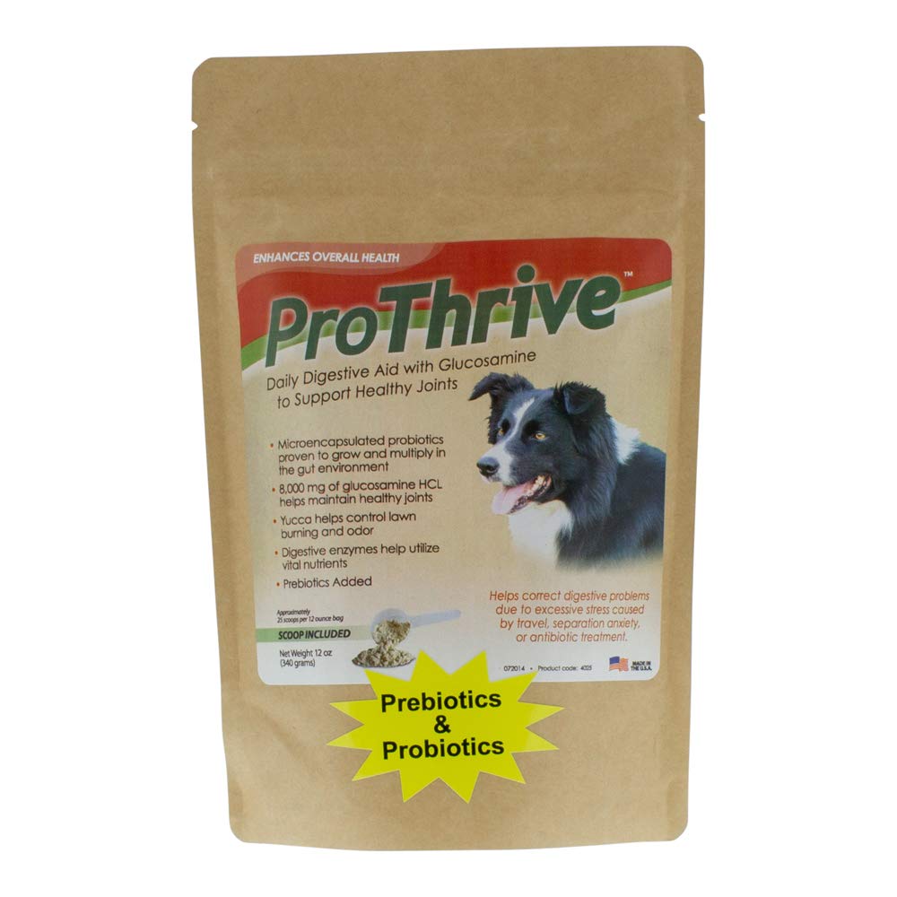 ProThrive Daily Dog Probiotics for Digestive Health & Joint Support, All Breed Probiotics for Dogs Supplement - 12oz
