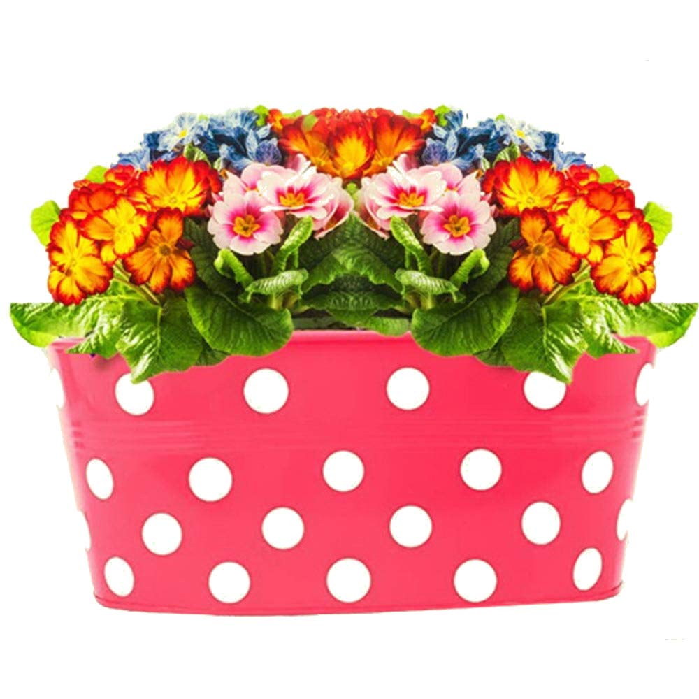 myl Oval Dotted Metal Railing Planters Hanging Flower Pots for Balcony Decor (1 Qty, Magenta) (B08L3B92QH) Amazon Price History, Amazon Price Tracker