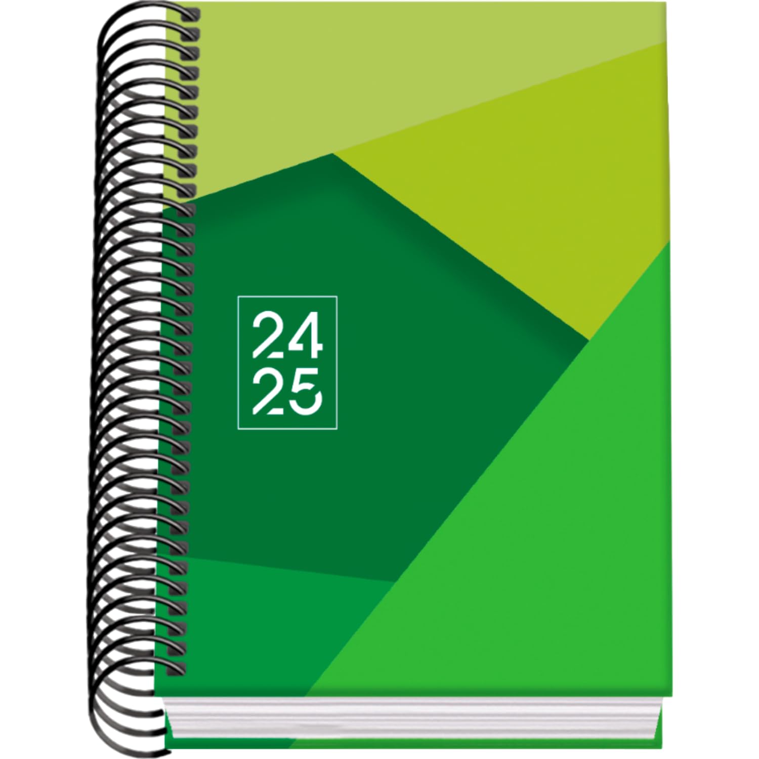 Dohe - Agenda Escolar 2024 2025 - Día por Página, Tamaño A6 (12x17 cm), Cierre de Anillas, Tapa Dura, Español e Inglés, Septiembre a Junio, Material Escolar - TANGRAM Verde