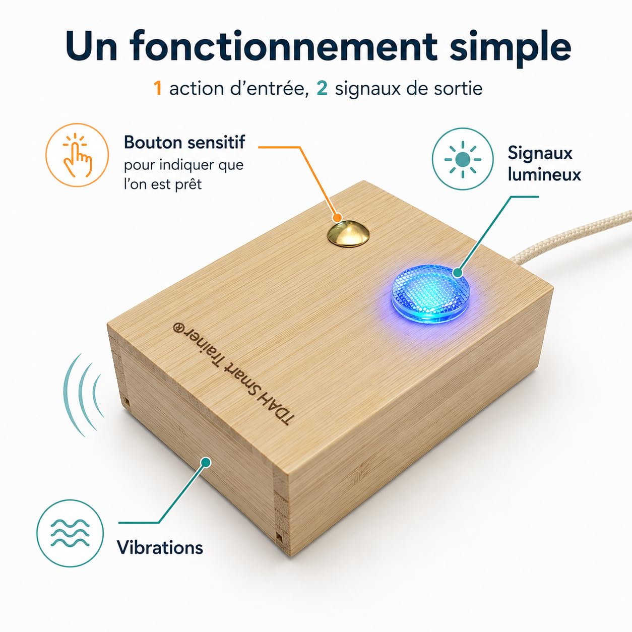 Concentration, devoirs, autonomie pour Enfants / Ados