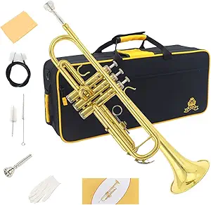 Yasisid Bb Standard Trumpet Set, Brass Adults Play Western Wind Instruments for Beginners or Advanced Students, with Hard Case, Cleaning Kit, 7C Mouthpiece, Cloth and Gloves (Golden)