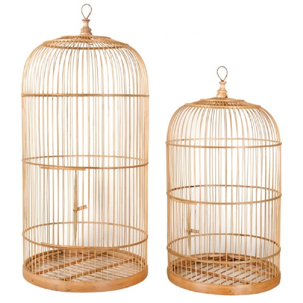 Cages en bambou naturel tuteur plante intérieur extérieur H80cm