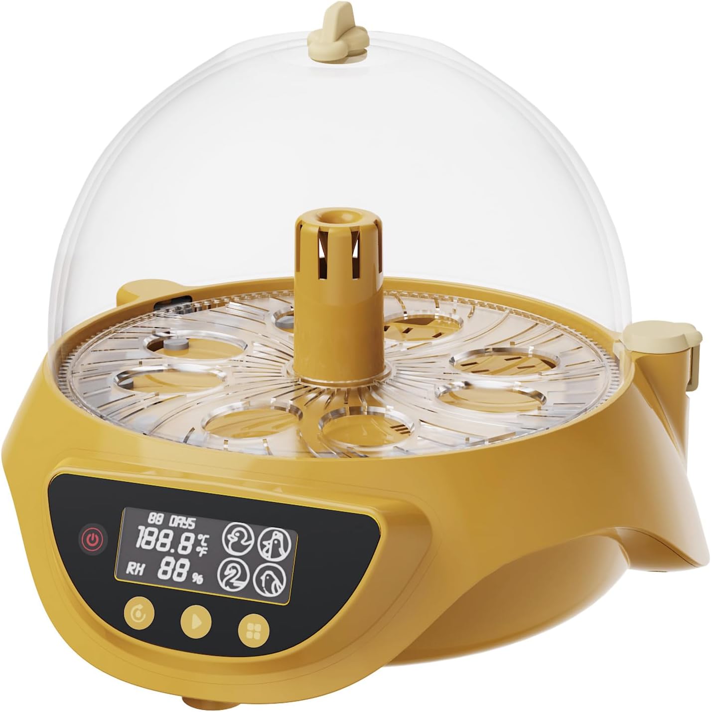 Quail Incubator with Automatic Egg Turning,8 Eggs, Smart Temperature Control, 360°View, Air Vent Circulated, Auto Mini Small Egg Incubator for Hatching Quail Bird Parrot Reptile