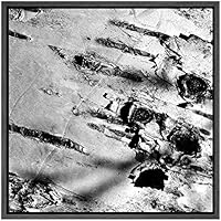 SIGNWIN Framed Canvas Wall Art White Aspen Forest Tree Bark Nature Texture Photography Minimalism Modern Closeup Dramatic Black and White for Living Room, Bedroom, Office - 16