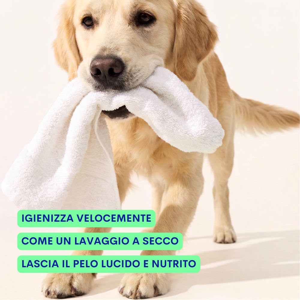 JAMPY Gel Detergente Senza Risciacquo Per Cani e Cuccioli. Shampoo Secco Senza Parabeni o Siliconi. Igienizzante, Elimina i Cattivi Odori. Adatto a Pelli Sensibili. 98% Naturale - 250 ml.