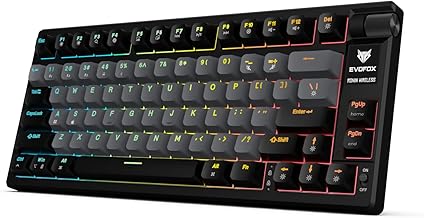 EvoFox Ronin Wireless Mechanical Keyboard (BT+2.4GHz+Wired) | 9 Layer Gasket Structure, Outemu Red Switches, Per-Key RGB, 1000Hz, nKey Rollover, Volume Controller | Windows Software (Black)