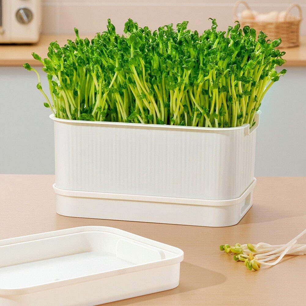 Kit Per Germinazione Semi - Vassoio Senza Suolo | Coltiva Germogli In Casa - Foto 9