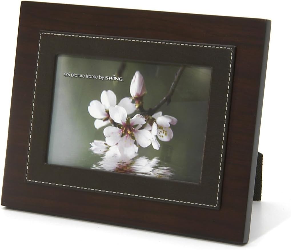 Swing Design Frame Soho Walnut 4x6 Professional Art