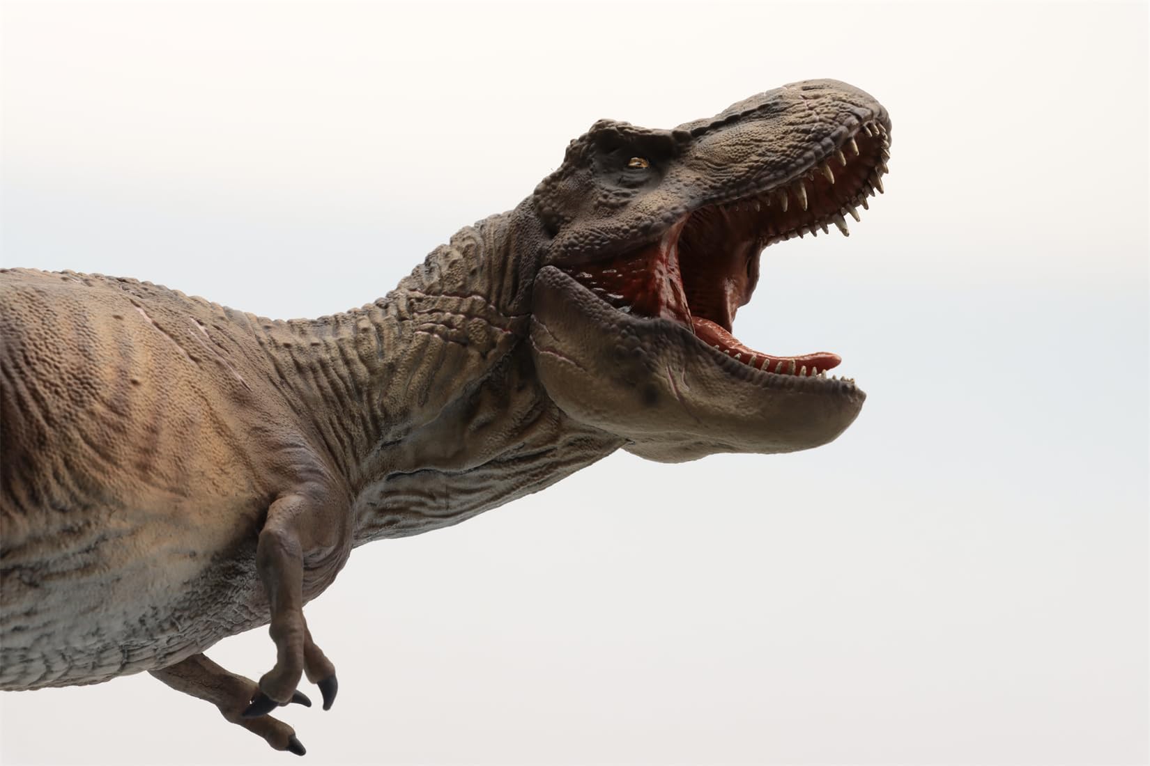 AMITD Figura de Tyrannosaurus Rex escala 1:30