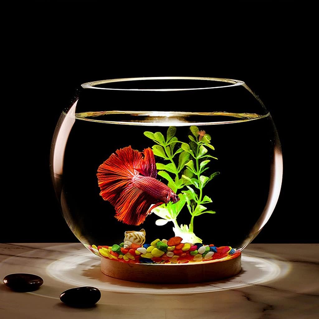 Fish Tank Round Creative Glass Transparent Fish Tank Office Home Desktop Small Fish Tank Ornamental Fish Tank Turtle Tank Night Light Aquarium Tank