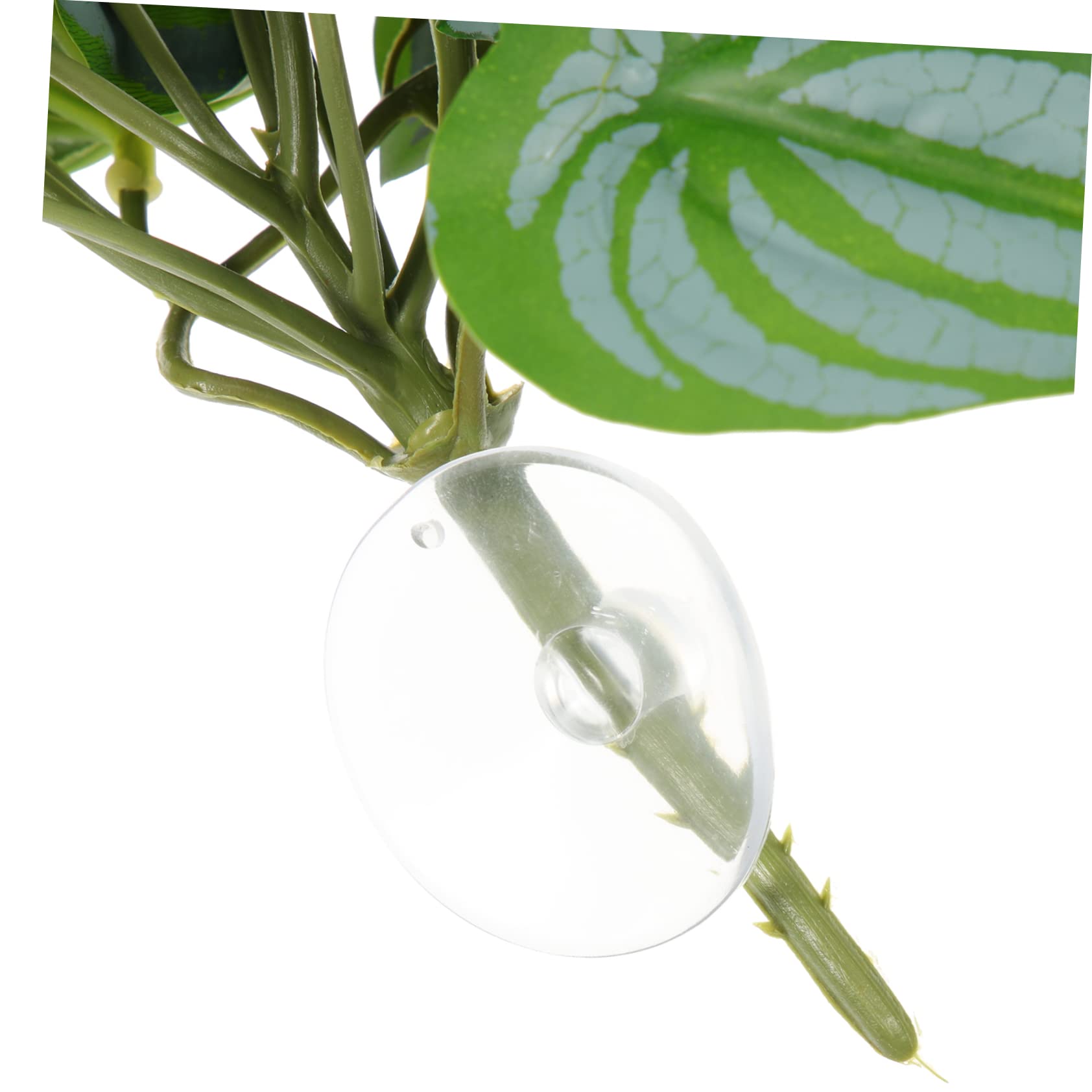 Mipcase 10piezas Artificiales para Terrario De Reptiles Decoración De Simuladas Follaje Lifelike para Hábitat y Pecera