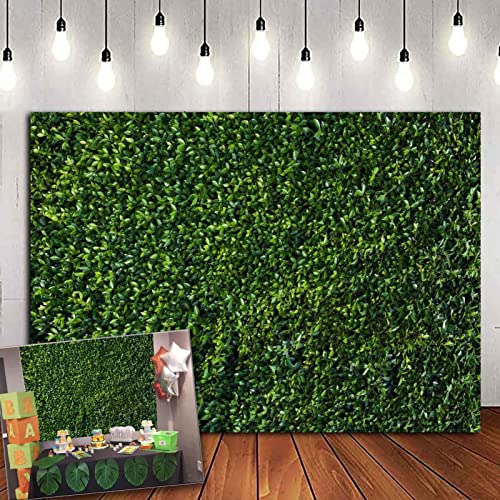 HQM 7x5FT Nature Spring 3D Green Leaves Theme Photo Background We...
