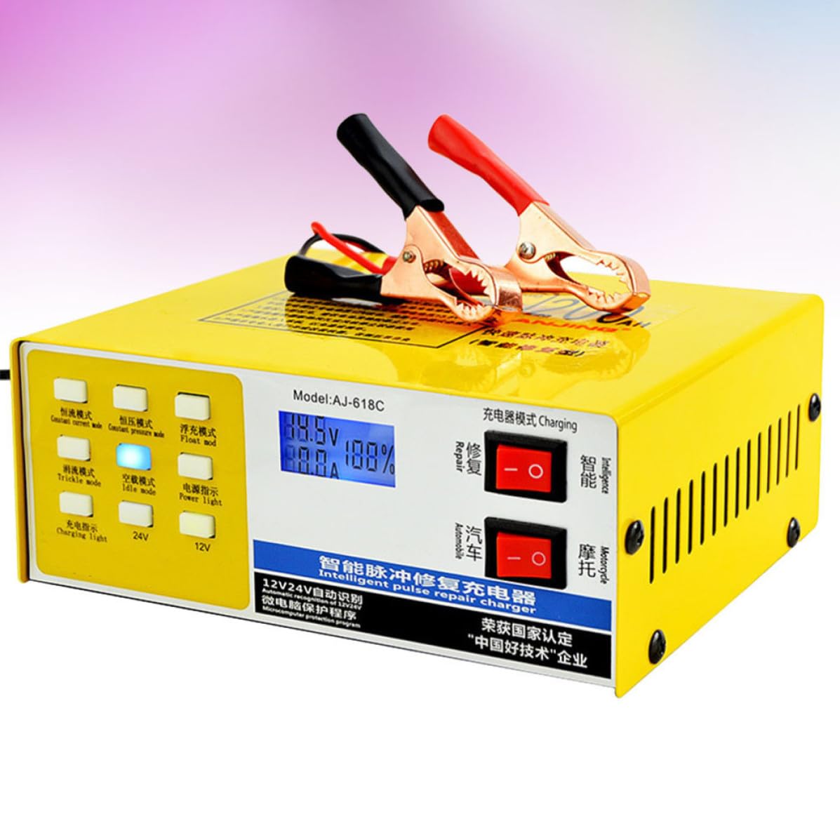 Caricabatterie Auto Intelligente 12v 24v 220w in Metallo