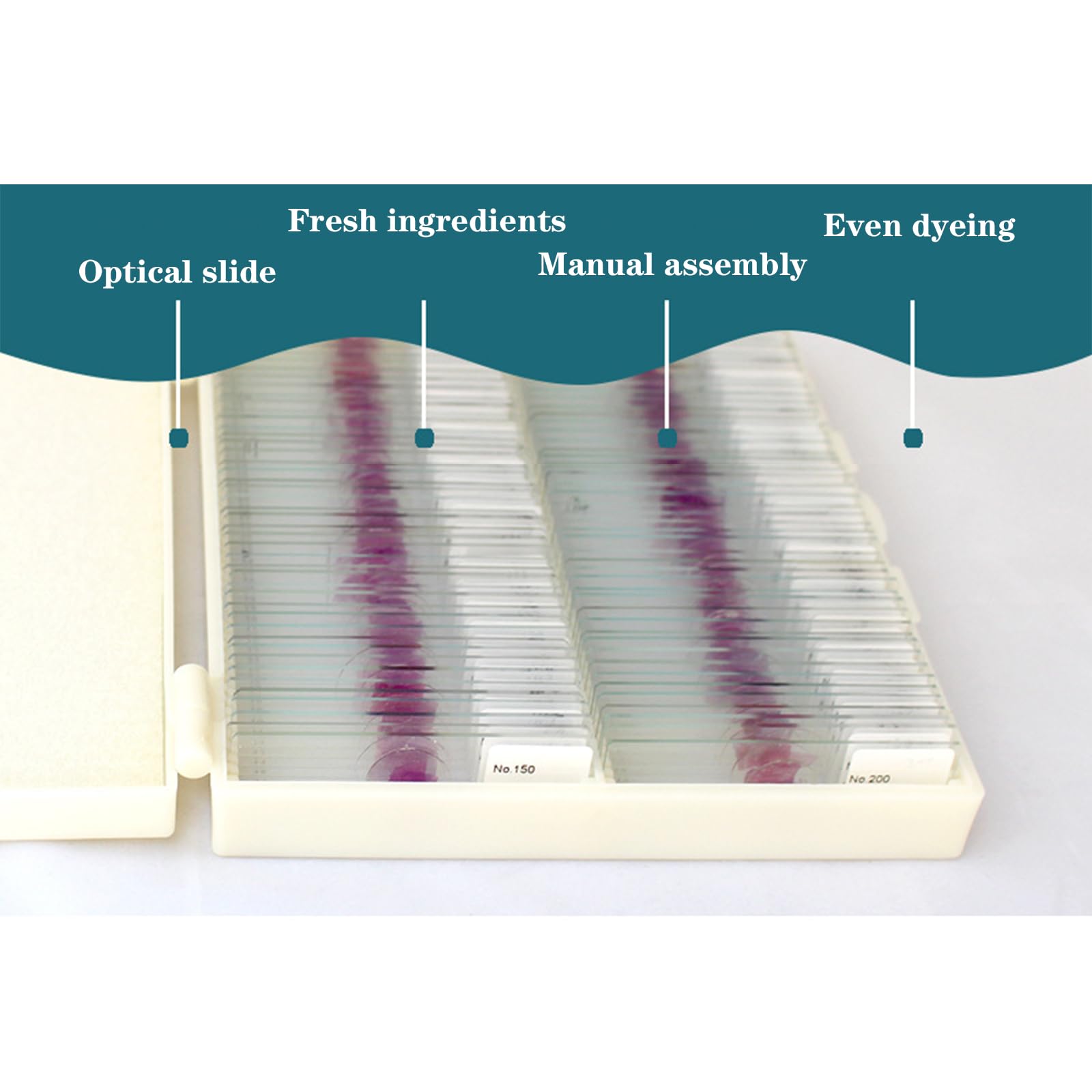 100 Portaobjetos para Microscopio, Portaobjetos De Histopatología con Tinción HE De Células Humanas Estructurales, Transparencia, Teñido Uniforme, Imágenes Claras