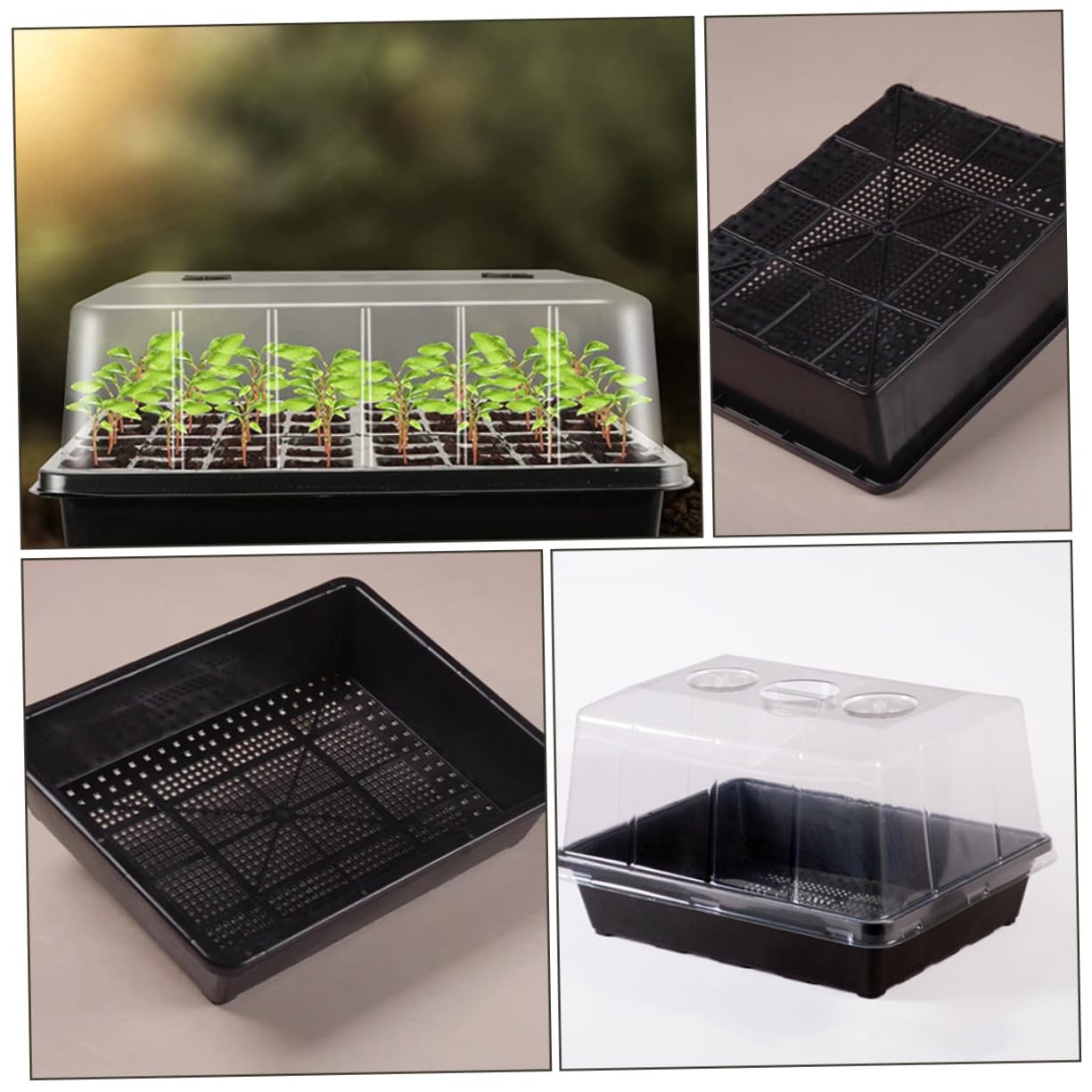 Plateau de Germination pour Semis, Lot de 1 Set, Plastique , avec Couvercle