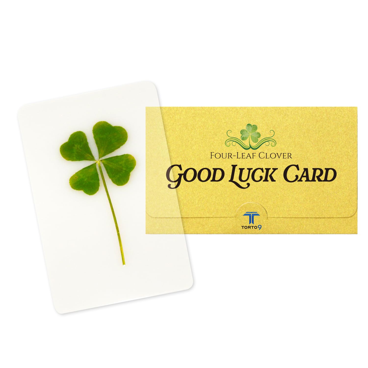 Amazon.com: T TORTO9 Real Four Leaf Clover Bookmark, 1pack