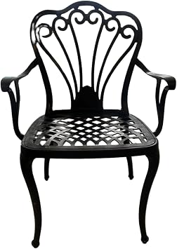 CERITTI Wrought Iron Looking Garden Table and Chair Set, Can Be Used in Garden, Balcony and Outdoor, 2 Years Warranty, 150 KG Carrying Capacity, Plastic Table and Chair Set (Black, Standard)