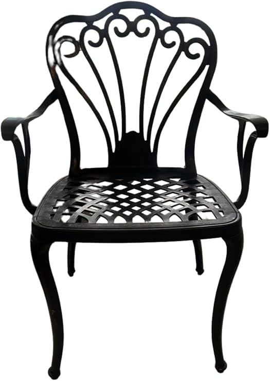 CERITTI Wrought Iron Looking Garden Table and Chair Set, Can Be Used in Garden, Balcony and Outdoor, 2 Years Warranty, 150 KG Carrying Capacity, Plastic Table and Chair Set (Black, Standard)