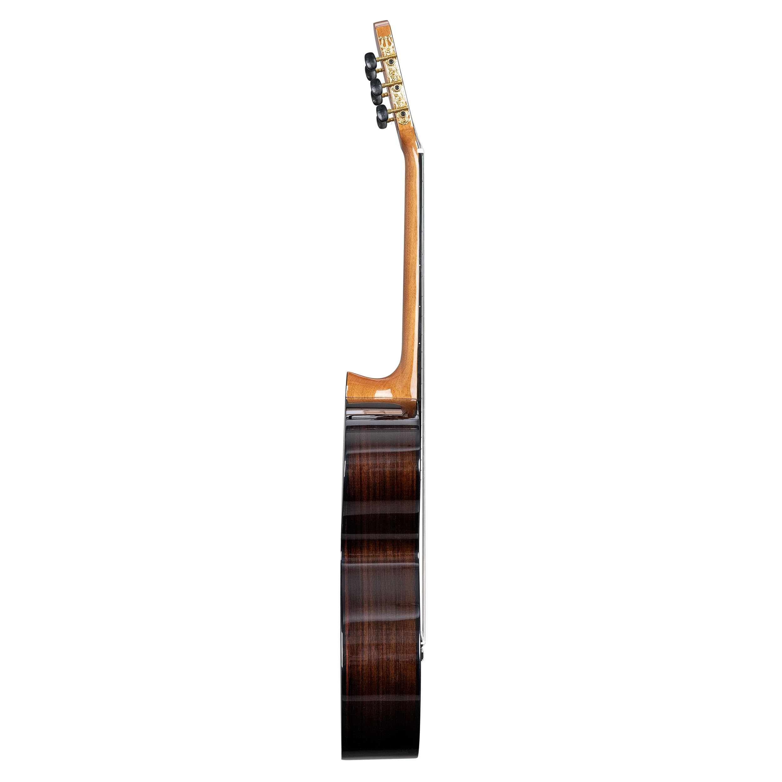 Performer Series Classic Guitar 4/4 (incl. borsa imbottita, 3 picchi)
