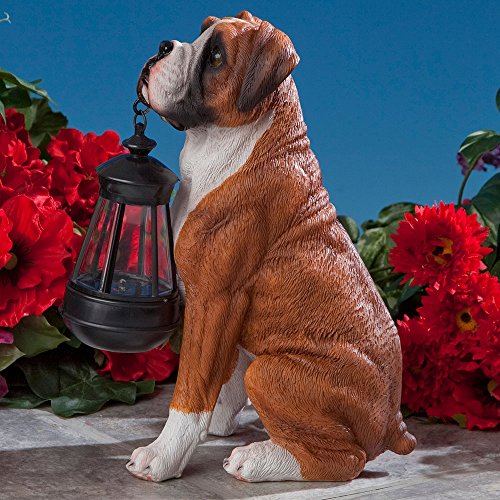 Bits And Pieces - Boxer Solar Lantern Statue - Solar Powered Garden Lantern Statue - Resin Dog Sculpture With Led Light - Outdoor Lighting And Décor #TOP4