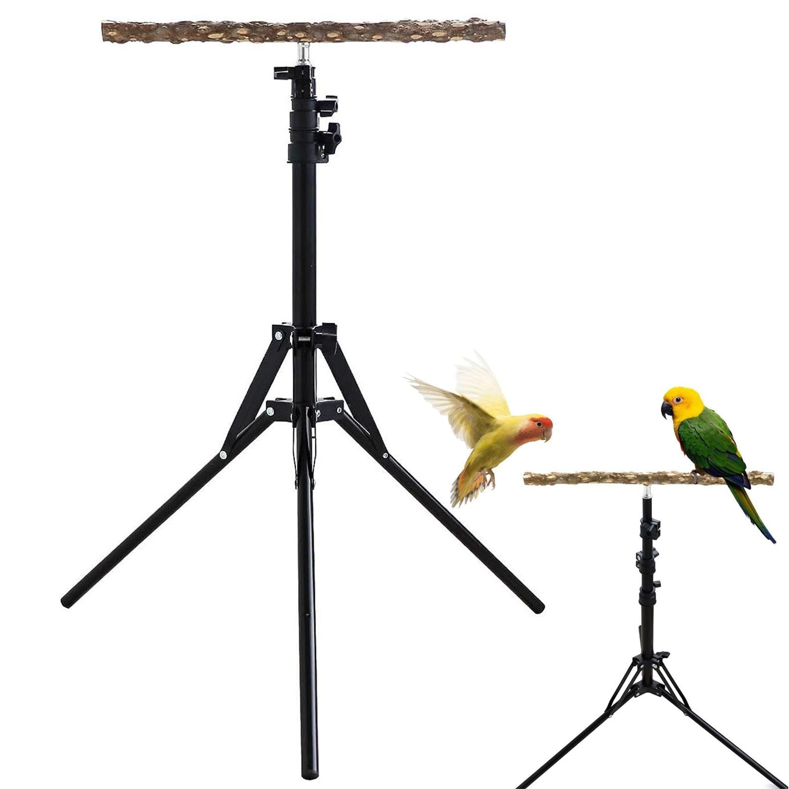 Adjustable Bird Perch | Height Adjustable Parrot Stand | Natural Wood Parrot Perch | Adjustable Bird Perch Is Designed To Provide A Customizable And Engaging Area For Your Parrot